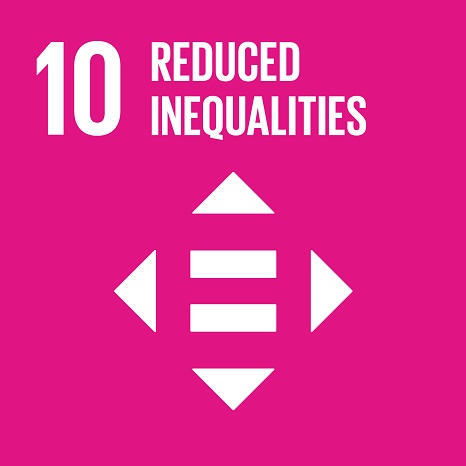 Official UN icon for SDG 10