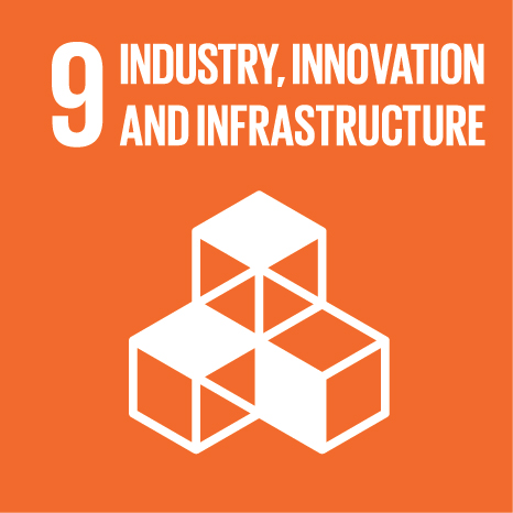 Official UN icon for SDG 9