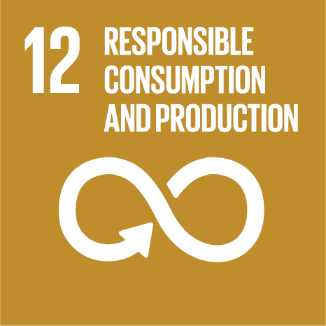 Official UN icon for SDG 12