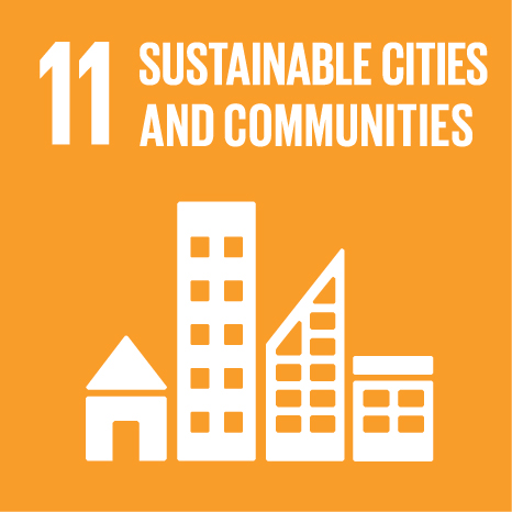 Official UN icon for SDG 11